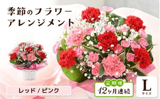 定期便 ≪12ヶ月連続お届け≫ 選べるカラー 季節のフラワーアレンジメント L (レッド・ピンク) 【お花 フラワー アレジメント 花束 ギフト 生花 プレゼント 花束 花 記念日 敬老の日 お祝い】 [O-20701_01] 