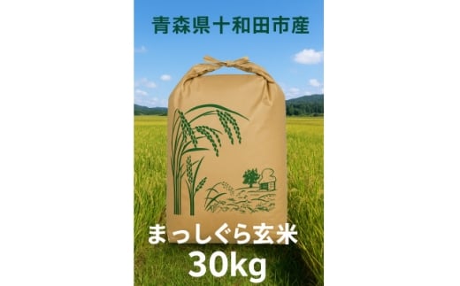 ＜令和7年産＞青森県産まっしぐら30kg(玄米)【1664256】