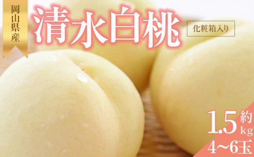 桃 2026年 清水 白桃 約1.5kg 4~6玉 もも モモ 岡山県産 国産 フルーツ 果物 ギフト 横木農園 776519 - 岡山県岡山市