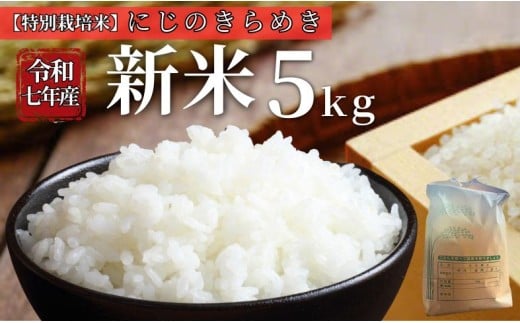 お米 令和7年産 新米 5kg にじのきらめき 特別栽培米 先行予約 【2025年10月以降発送】 精米 米 こめ コメ 白米 ごはん ライス 愛媛 伊予市｜C148