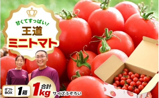 甘くて酸っぱい王道ミニトマト☆たっぷり1kg【とまと トマト ミニトマト 野菜 生野菜 美容 健康 新鮮 産地直送 贈答 ギフト 国産】 [A-2612] 2325711 - 福井県坂井市