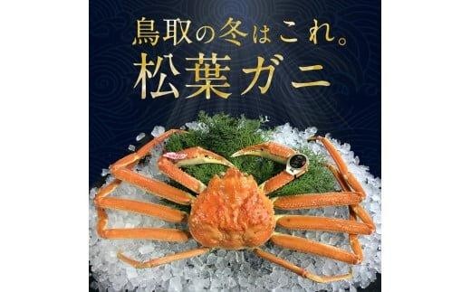 ＜10/1～寄附額改定＞【早期受付】【活】訳あり　松葉ガニおまかせ3kg（5～8枚）《かに カニ 蟹 ズワイガニ》※着日指定不可※2025年11月上旬頃から順次発送予定