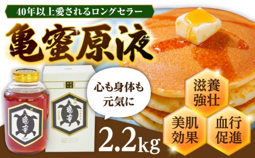 亀蜜原液2.2kg 日田市 / 夜明の里カメミツ株式会社　ハチミツ　蜂蜜　すっぽん[AREN004]