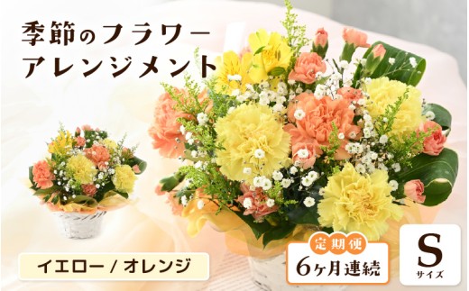 定期便 ≪6ヶ月連続お届け≫ 選べるカラー 季節のフラワーアレンジメント S (イエロー・オレンジ) 【お花 フラワー アレジメント 花束 ギフト 生花 プレゼント 花束 花 記念日 敬老の日 お祝い】 [D-20701_02]  2286576 - 福井県坂井市