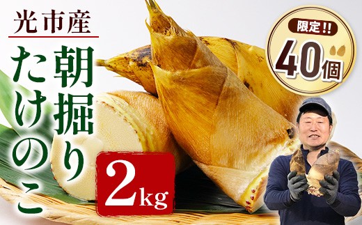 YA01 光市産朝掘りたけのこ 2kg  [2026年4月上旬から4月中旬にかけて順次発送予定]  山口県光市産 たけのこ 筍 タケノコ 国産 野菜 旬 新鮮 採りたて 煮物 味噌汁 炊き込みご飯