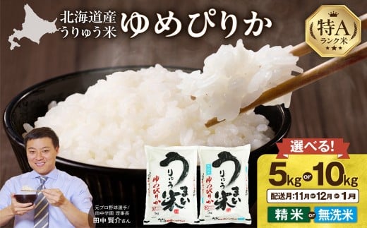 【新米予約!選べる配送月】【11月/12月/1月】うりゅう米 ゆめぴりか 〈5kg or 10kg / 精米 or 無洗米〉 令和7年産 お米 米 ごはん ご飯 特A 単一原料米 お弁当 国産 人気 おすすめ kome 雨竜町