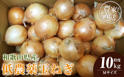 ［2026年発送分・先行予約］農家さん直送 低農薬玉ねぎ Mサイズ 10kg程度［4月中旬～7月中旬頃発送予定］［KF17］ 2282037 - 和歌山県九度山町