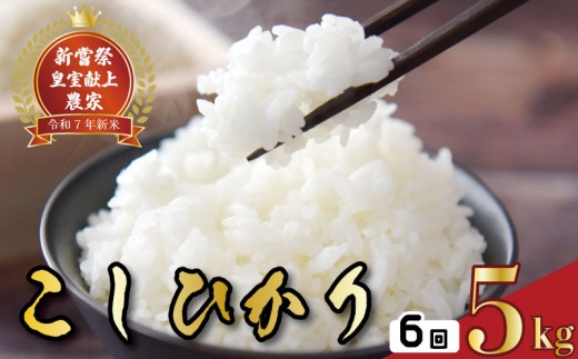 令和7年産 コシヒカリ 白米 6ヵ月連続でお届け!! 定期便 5kg × 6回 30kg お米 白米 精米 新米 コシヒカリ 産地直送 スピード発送 ごはん ご飯 高知県産 弁当 おにぎり 料理 新嘗祭皇室献上米 令和7年 R7年 高知県安芸市