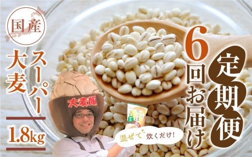 国産スーパー 大麦 6回定期便 （1.8kg × 6）計10.8kg 月に1回お届け 食物繊維 たっぷり 大麦 麦 麦ごはん 麦味噌 麦みそ 混ぜて炊くだけ 雑穀米 健康 定期便 6回 愛知県 豊橋市