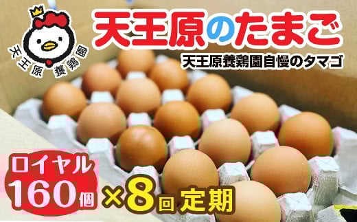 【定期便】8回定期 【天王原のたまご】 ロイヤル卵160個入り【定期便 8回定期便 セット たまご 卵 玉子 タマゴ 濃厚  ハリ 弾力 ボリューム 甘味 旨味 卵黄 風味 生 コク 甘味 卵かけご飯 卵焼き 目玉焼き オムレツ 茶碗蒸し お菓子作り パンの材料】