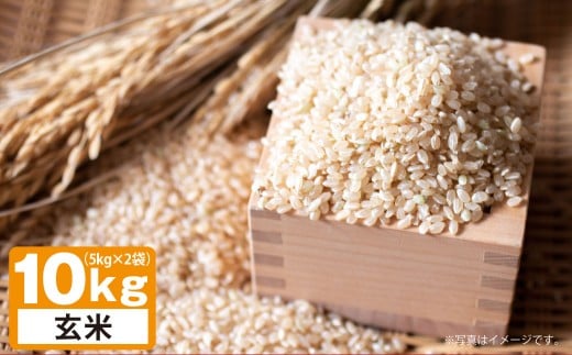 A244 【令和7年産】 ゆめぴりか （ 玄米 ） 栽培期間中農薬化学肥料不使用 5kg×2袋 たかすタロファーム 北海道 鷹栖町 米 コメ こめ ご飯 お米