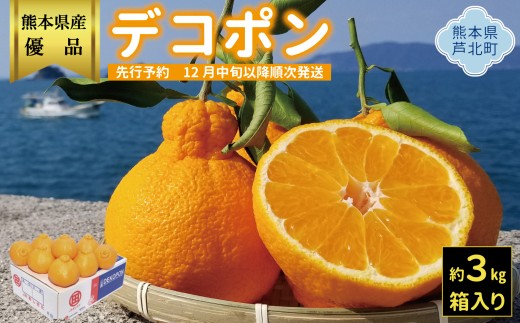 ハウスデコポン3kg