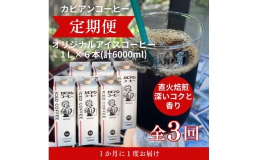 ＜毎月定期便＞カピアンオリジナルアイスコーヒー1L×6本(計6000ml)全3回【4073670】