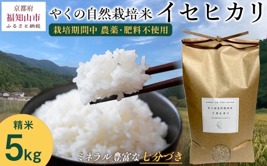 【先行予約・2025年11月より発送開始！】やくの自然栽培米　イセヒカリ 5kg　 令和7年産 こめ コメ 米 白米 精米 イセヒカリ いせひかり お米 ごはん やくの 夜久野 京都府 福知山市 FCEV003