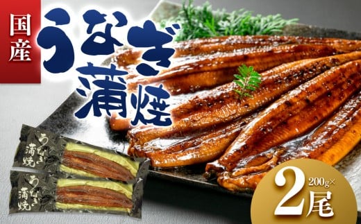 うなぎ蒲焼（国産鰻 200g×2尾）