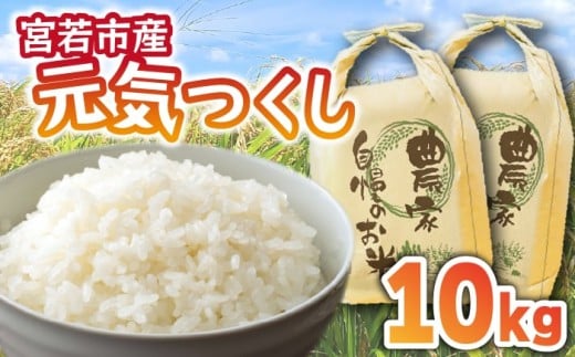 【先行予約】みよばあちゃんの 元気つくし10kg 令和7年産 [M854-1] 2282203 - 福岡県宮若市