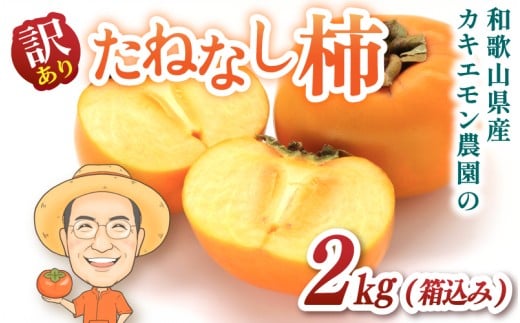 お試しに![訳あり・ご家庭用]たねなし柿 約2kg(箱込) カキエモン農園[2025年9月下旬〜10月末頃順次発送]/ 柿 たねなし カキ 訳あり ご家庭用 2kg 和歌山県 かつらぎ町 産地直送 農家直送