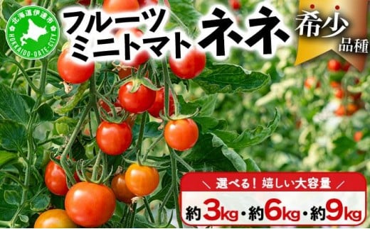 【2026年先行予約】＜選べる容量＞北海道産 ミニトマト ネネ 約3~9kg フルーツトマト プチトマト 甘い 濃厚 彩り 鮮やか 希少 お中元 お歳暮 暑中見舞い 帰省土産 ご自宅用 産地直送 大滝農園 送料無料 北海道