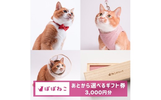 ぽぽねこギフト券(Eメールタイプ)3,000円分「共通返礼品」 デジタル商品券 オンラインショップ 電子マネー 猫 ネコ