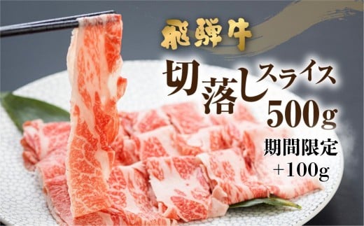 【期間限定 特別内容量】《訳あり》飛騨牛 切り落とし スライス 600g 焼肉 牛肉 肉 不揃い わけあり ワケアリ 部位おまかせ 焼き肉 黒毛和牛 和牛 国産 すき焼き 簡易包装 個包装