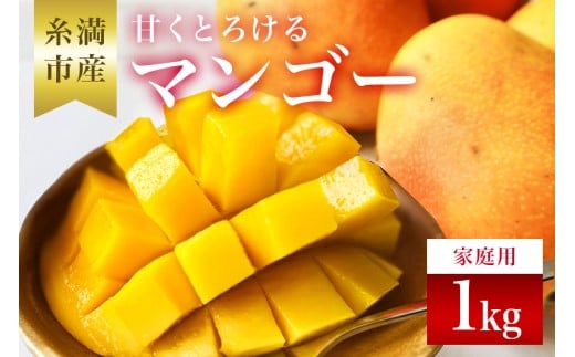 【先行予約 2026年 発送】かねよしマンゴーの甘くとろける マンゴー 1kg 家庭用 沖縄県産  アップルマンゴー アーウィンマンゴー 国産 完熟マンゴー 果物 南国 くだもの フルーツ 完熟 夏 旬 特産品 沖縄 お取り寄せ お土産 甘い 濃厚 糸満市 