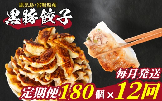 訳あり 黒豚餃子 12回 毎月 定期便 180個 12個×15パック 冷凍 小分け たれ付き 大容量 ぎょうざ ギョウザ ギョーザ