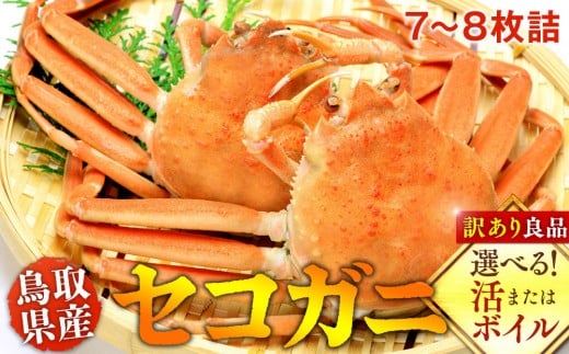 ＜10/1～寄附額改定＞【活】鳥取県産セコガニ　訳あり　良品7~8枚詰《かに カニ 蟹 セコガニ》※2025/11/6～2025/12/25に順次発送予定※着日指定不可  離島不可（北海道、沖縄本島は配送可能）