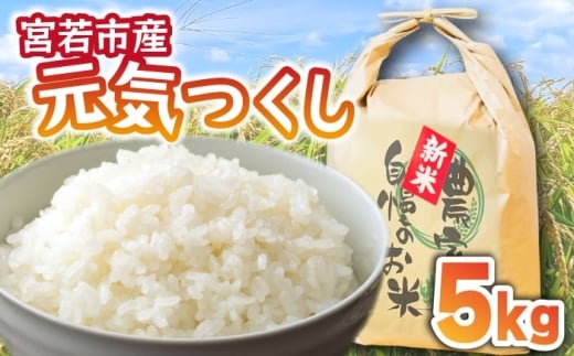 【先行予約】みよばあちゃんの元気つくし5kg 令和7年産 [M853-1]