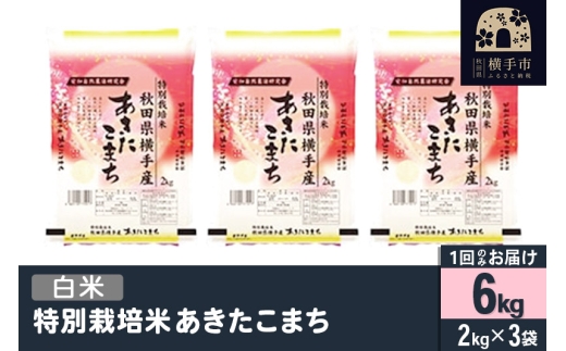 【白米】令和7年産 特別栽培米 あきたこまち 6kg（2kg×3袋） 1021166 - 秋田県横手市
