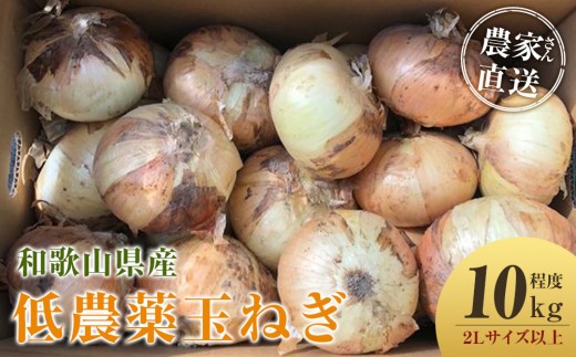 ［2026年発送分・先行予約］農家さん直送 低農薬玉ねぎ 2Lサイズ以上 10kg程度［4月中旬～7月中旬頃発送予定］［KF15］ 2282035 - 和歌山県九度山町