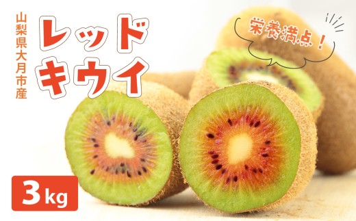 【先行予約】ご家庭用 国産レッドキウイ(小玉) 3kg　2025年10月より順次発送　
