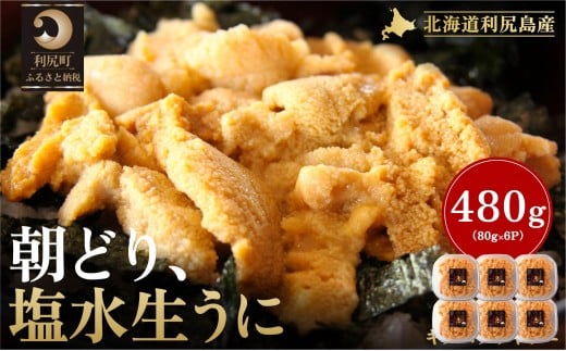 【2026年発送受付】利尻島産「朝どり」塩水生うに480g (80g×6) 天然キタムラサキウニ【6~8月発送分】｜北海道 朝獲れ 塩水 ウニ 無添加 ミョウバン不使用 生 うに 雲丹 国産 天然 利尻 キタムラサキ ムラサキ [1090022]