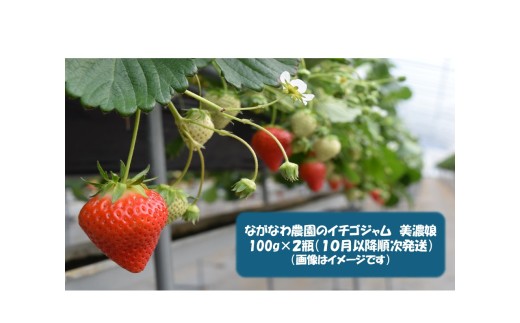 1107 ながなわ農園のいちごジャム　美濃娘　100ｇ×２瓶　数量限定 2283082 - 岐阜県各務原市