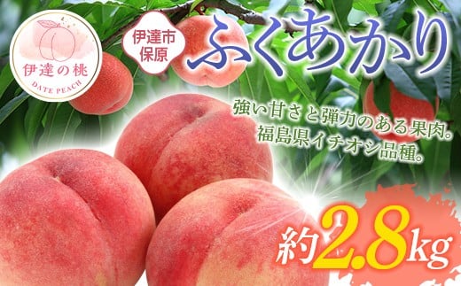 [2026年出荷分先行予約]福島県産 ふくあかり 約2.8kg (10〜15玉) あかい果樹園 伊達の桃 桃 フルーツ 果物 もも モモ momo F20C-900