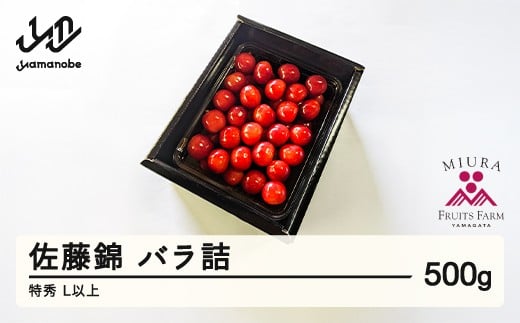 《先行予約》2026年 山形県産 令和8年産 さくらんぼ 佐藤錦 バラ詰 500g 特秀 L以上  ※沖縄・離島への配送不可 F20A-897 263136 - 山形県山辺町