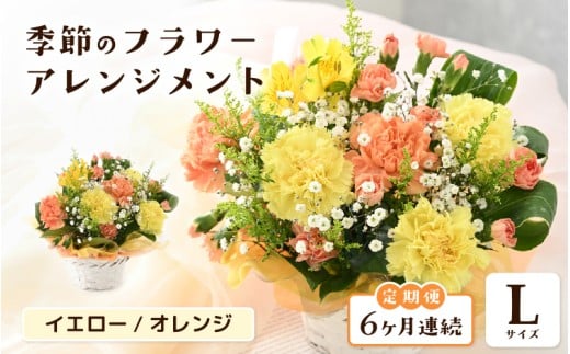定期便 ≪6ヶ月連続お届け≫ 選べるカラー 季節のフラワーアレンジメント L (イエロー・オレンジ) 【お花 フラワー アレジメント 花束 ギフト 生花 プレゼント 花束 花 記念日 敬老の日 お祝い】 [J-20701_02]