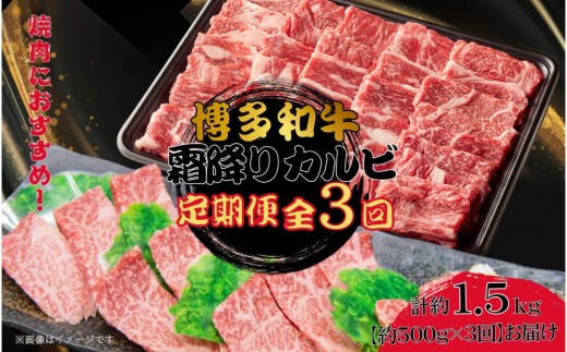 博多和牛 霜降りカルビ 全3回定期便 約500g×3回 2098208 - 福岡県大川市