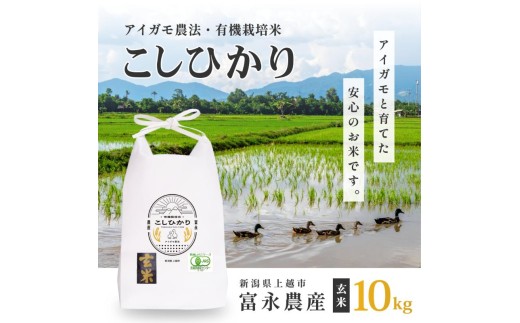 新米予約 令和7年 新潟県産コシヒカリ アイガモ農法 玄米 10kg 10キロ（5kg×2） JAS有機栽培米 上越市 三和区神田 富永農産 送料無料 安全・安心こしひかり