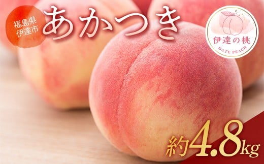 【2026年出荷分先行予約】福島県産 あかつき 約4.8㎏ (12～18玉) あかい果樹園 伊達の桃 桃 フルーツ 果物 もも モモ momo F20C-906 1315852 - 福島県伊達市