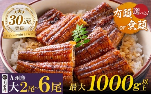 国産うなぎ蒲焼大サイズ(有頭/無頭) 2尾〜6尾(計280g〜1000g以上)鰻蒲焼用タレ・山椒付 うなぎ生産量日本一鹿児島県産・宮崎県産・熊本県産 うなぎ 鰻 国産 うなぎ蒲焼き うな重 ひつまぶし 国産鰻 ウナギ 蒲焼 人気 鰻 おすすめ タレ 山椒 鰻 6尾 大容量 鰻 うなぎ ウナギ 国産 福智町