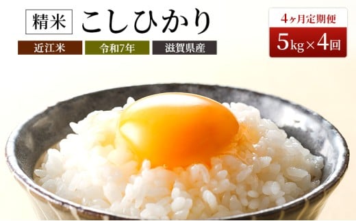 【定期便】令和7年産　豊かな郷の近江米（コシヒカリ）5kg×4ヶ月連続 お米 4回 箱入り 