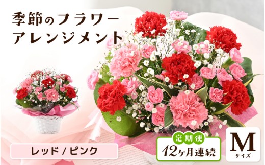 定期便 ≪12ヶ月連続お届け≫ 選べるカラー 季節のフラワーアレンジメント M (レッド・ピンク) 【お花 フラワー アレジメント 花束 ギフト 生花 プレゼント 花束 花 記念日 敬老の日 お祝い】 [L-20701_01]  2286554 - 福井県坂井市
