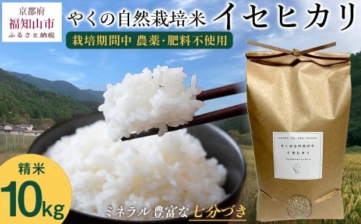 【先行予約・2025年11月より発送開始！】やくの自然栽培米　イセヒカリ 10kg　 令和7年産 こめ コメ 米 白米 精米 イセヒカリ いせひかり お米 ごはん やくの 夜久野 京都府 福知山市 FCEV004