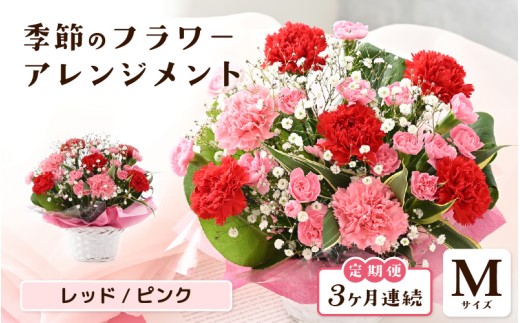定期便 ≪3ヶ月連続お届け≫ 選べるカラー 季節のフラワーアレンジメント M (レッド・ピンク) [お花 フラワー アレジメント 花束 ギフト 生花 プレゼント 花束 花 記念日 敬老の日 お祝い] [C-20701_01]