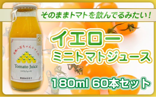 [№5258-1500]【高級旅館でも使用！】イエローミニトマトのトマトジュース 180ml 60本セット｜国産 姫路産 八百ちゃんトマト 100%ストレート 2284365 - 兵庫県姫路市