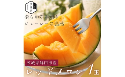 ＜優秀賞受賞農家直送＞鉾田市産レッドメロン　1.6kg以上×1玉　(※26年5月～発送予定)【1656396】