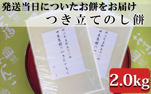 つきたて「のし餅」（2.0kg）　[0011-0039] 398928 - 千葉県鴨川市