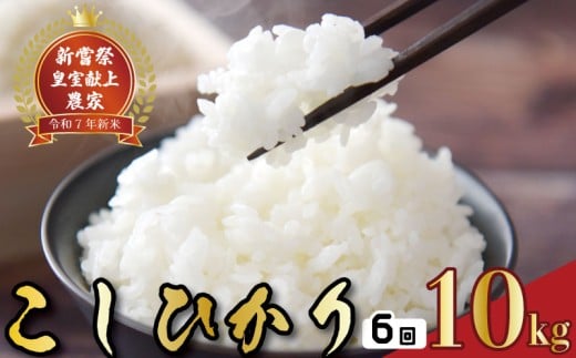 令和7年産 コシヒカリ 白米 6ヵ月連続でお届け!! 定期便 10kg × 6回 60kg お米 白米 精米 新米 コシヒカリ 産地直送 スピード発送 ごはん ご飯 高知県産 弁当 おにぎり 料理 新嘗祭皇室献上米 令和7年 R7年 高知県安芸市
