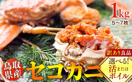 ＜10/1～寄附額改定＞【ボイル】鳥取県産　セコガニ　訳あり良品　1ｋg(5～7枚)《かに カニ 蟹 セコガニ》※2025/11/6～2025/12/25に順次発送予定※着日指定不可  離島不可（北海道、沖縄本島は配送可能）