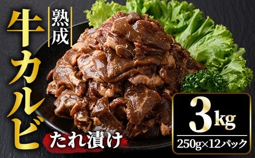 熟成牛カルビ 3kg (250g×12パック) たれ 味付 小分け 冷凍 焼肉 焼き肉 牛 牛肉 ビーフ カルビ BBQ 【そうざい男しゃく】【ho1473】 2098620 - 茨城県常陸大宮市